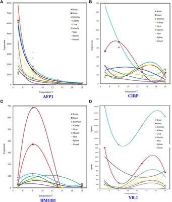 Interpretation of the Genotype by Tissue Interactions of Four Genes (AFP1, CIRP, YB-1, and HMGB1) in Takifugu rubripes Under Different Low-Temperature Conditions